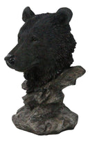 Western Rustic Wildlife Forest Black Bear Bust Figurine with Rocky Steppes Stand