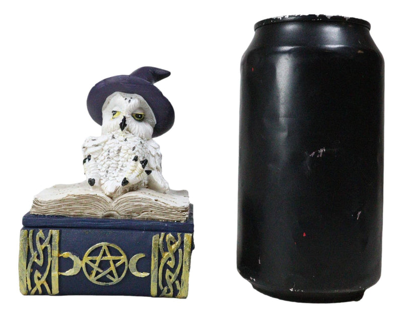 White Snow Owl With Witch Hat Resting On Triple Moon Blue Spell Book Trinket Box