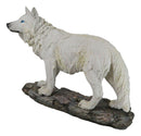 Winter Forest Hunter Tundra Snow White Albino Wolf On The Prowl Figurine 11.5"L