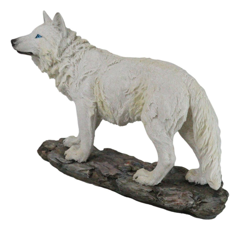 Winter Forest Hunter Tundra Snow White Albino Wolf On The Prowl Figurine 11.5"L