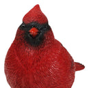 Faux Taxidermy Realistic Northern Male Red Cardinal Bird On Perch Figurine