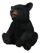 Rustic Western Forest Wonders Sitting Baby Black Bear Cub Whimsical Figurine