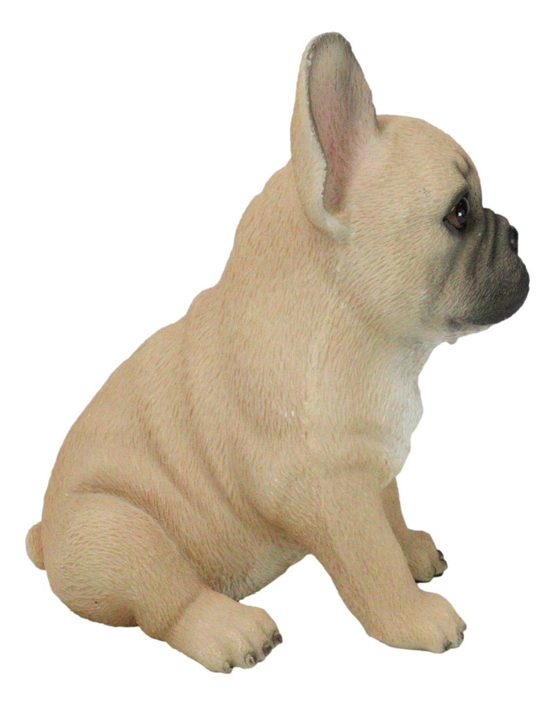 Realistic Adorable Fawn French Bulldog Puppy 6"H Cute Frenchie Dog Figurine