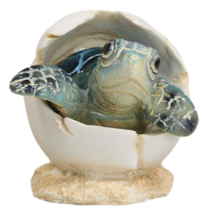 Pack Of 2 Marine Blue And Brown Sea Turtle Hatchlings In Egg Shells Figurines