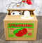 Whimsical Strawberry Feline Kitty Cat Coin Grabber Money Bank Box Sculpture