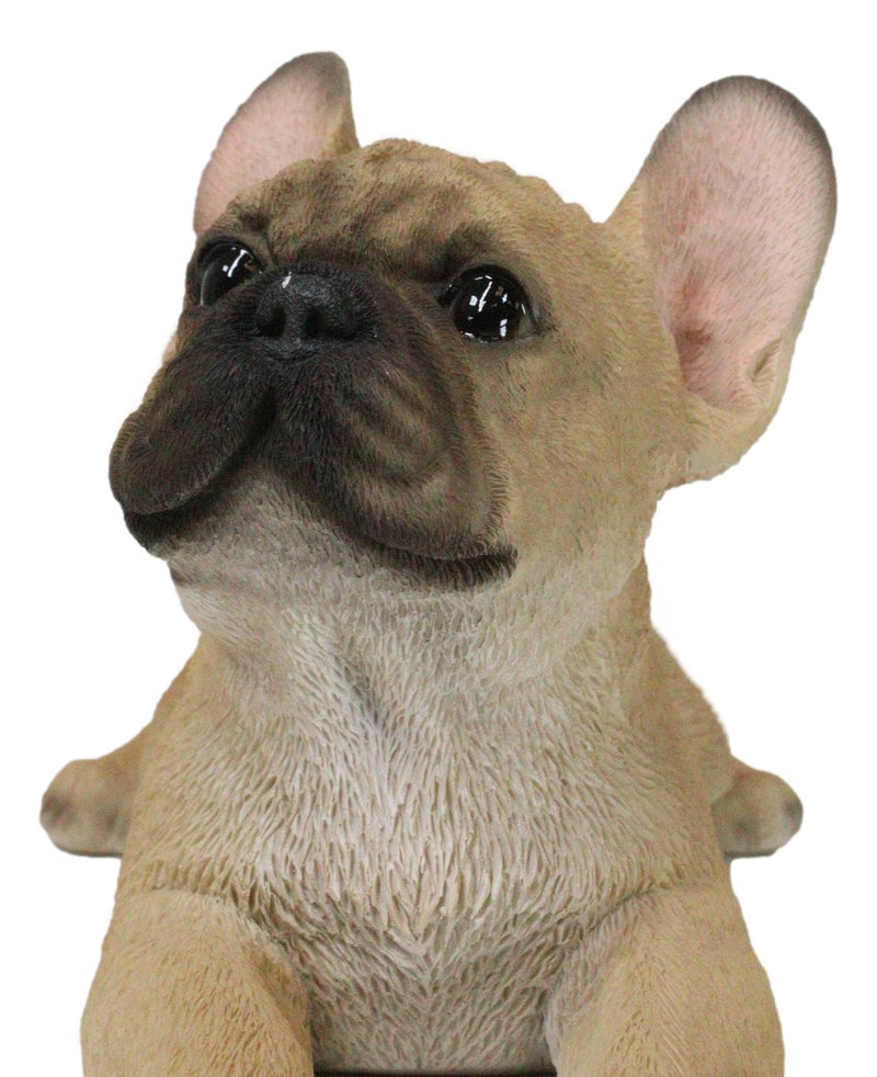 Sitting Realistic Adorable French Bulldog Puppy Dog Frenchie Figurine 8.25"L