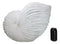 18.5"L White Nautical Marine Ocean Giant Nautilus Sea Shell Decorative Sculpture