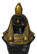 Egyptian God of The Sky Horus Ra Bust Decorative Box With Hieroglyphic Base