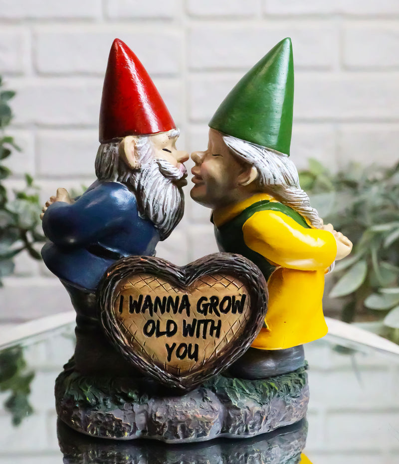 Whimsical Mr Mrs Gnome Kissing By Heart Sign I Wanna Grow Old With You Figurine