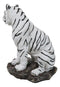 Rainforest Jungle Apex Predator White Bengal Tiger Sitting On Rock Figurine