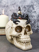 Halloween Macabre Gothic King Scorpion Demoniac On Skull Figurine