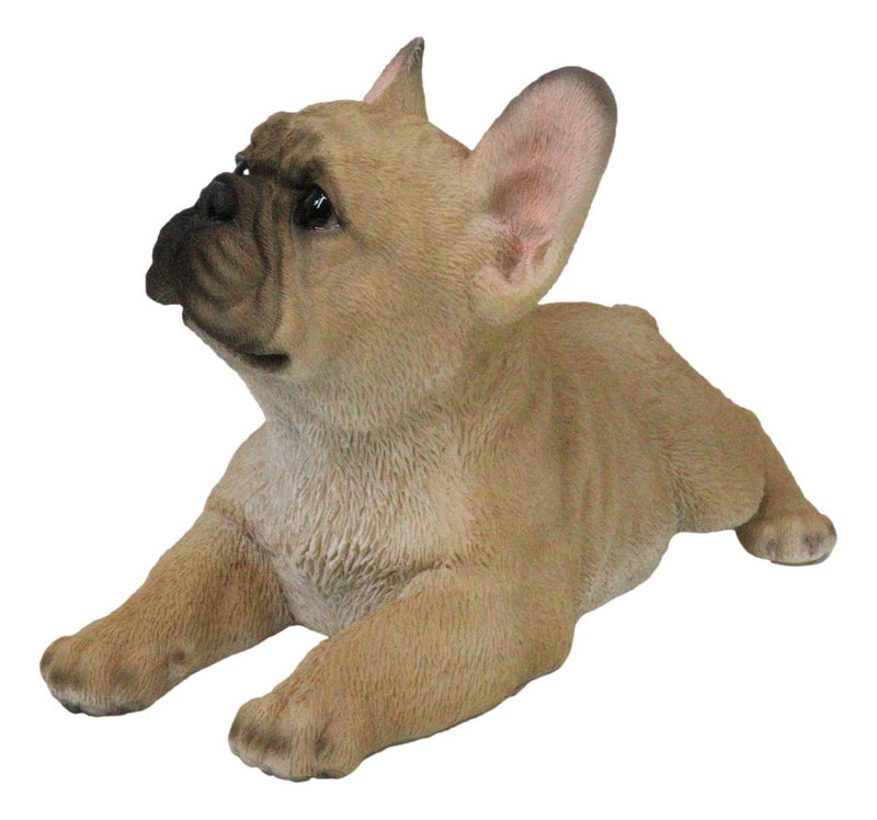 Sitting Realistic Adorable French Bulldog Puppy Dog Frenchie Figurine 8.25"L