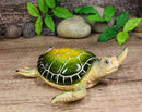 Ocean Marine Green Sea Turtle Decorative Key Stash Decorative Trinket Box