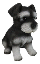 Adorable Black and Silver Miniature Schnauzer Puppy Dog Home Decor Figurine