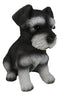 Adorable Black and Silver Miniature Schnauzer Puppy Dog Home Decor Figurine