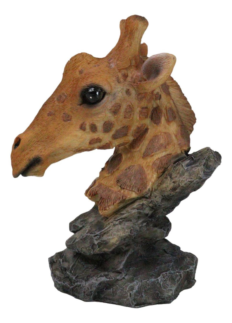 Safari African Savannah Masai Giraffe Head Bust On Rock Steppe Figurine