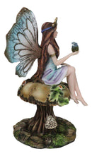 Queen Tribal Fairy Holding Dragon Hatchling By Mushroom Forest Stool Figurine