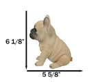 Realistic Adorable Fawn French Bulldog Puppy 6"H Cute Frenchie Dog Figurine