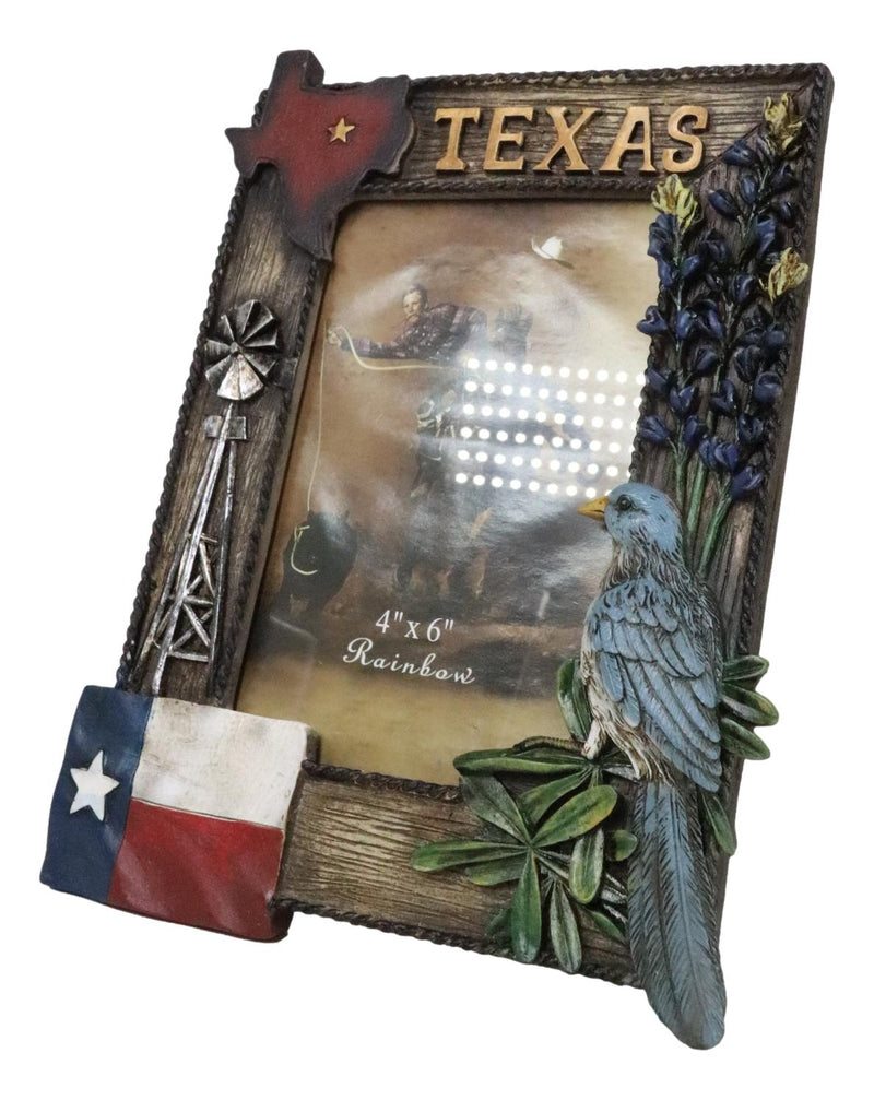 Rustic Western Patriotic Texas Mockingbird Windmill Bluebonnets Picture Frame