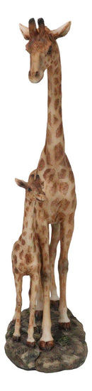 Safari Savannah Masai Giraffe Mother and Calf Strolling On Grasslands Figurine