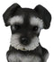 Adorable Black and Silver Miniature Schnauzer Puppy Dog Home Decor Figurine