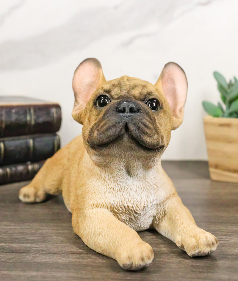 Sitting Realistic Adorable French Bulldog Puppy Dog Frenchie Figurine 8.25"L