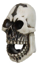 Set Of 2 Gothic Graveyard Evil Grinning Skull With Goth Cross Hand Bottle Opener