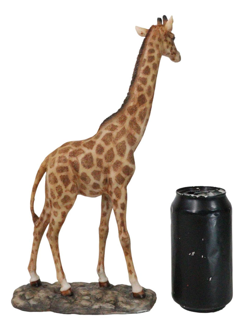 Nature Wildlife Realistic Safari Savannah Masai Giraffe Standing Figurine