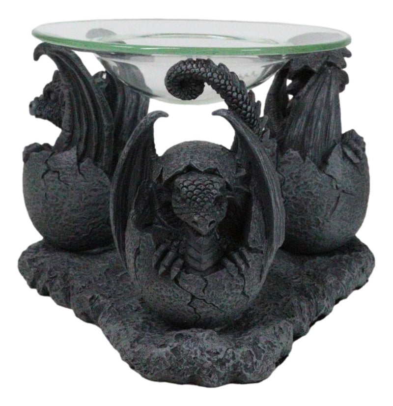 Fantasy Trio Gargoyle Dragons in Eggs Hatchling Candle Oil Burner Figurine