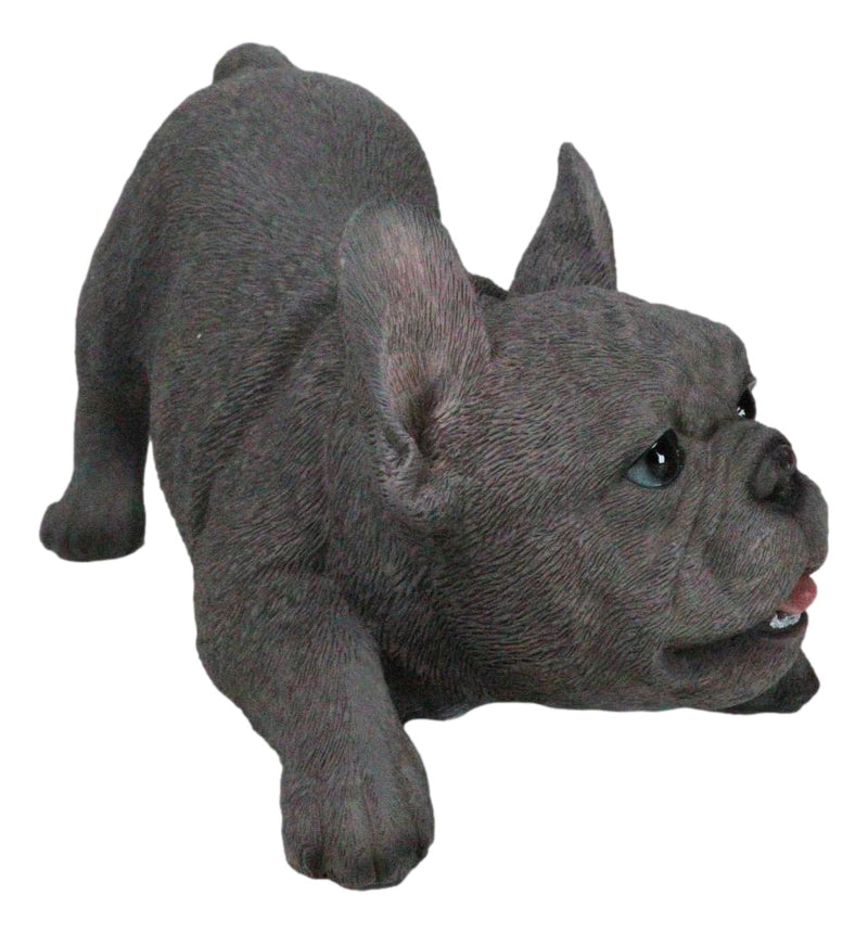 Realistic Adorable Grey French Bulldog Puppy Dog Crouching Frenchie Figurine