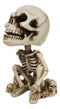 Gothic Macabre Grinning Grave Squatter Skeleton Skull Bobblehead Figurine