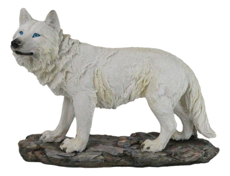 Winter Forest Hunter Tundra Snow White Albino Wolf On The Prowl Figurine 11.5"L