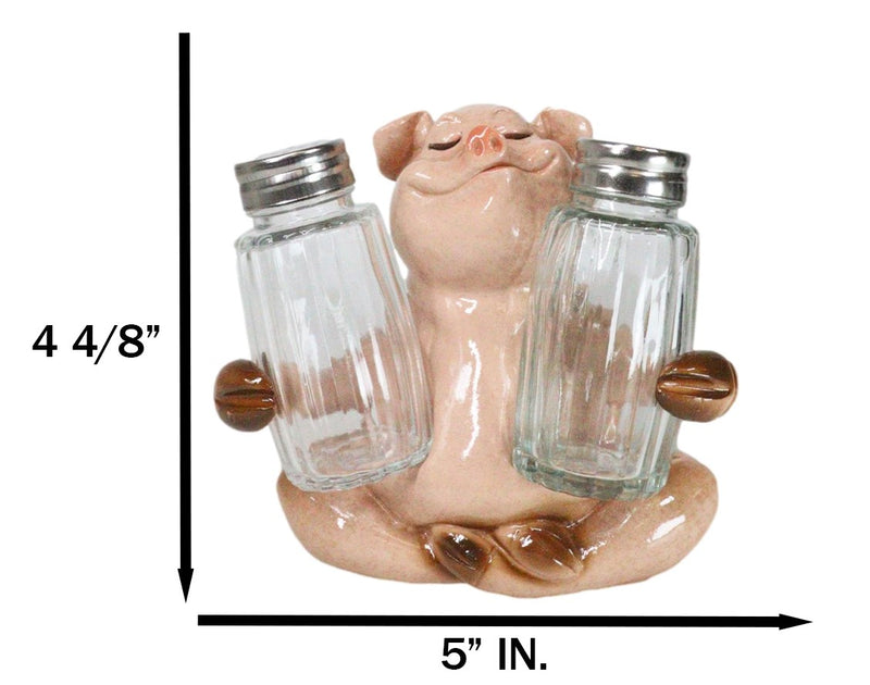 Rustic Country Animal Farm Porky Pig Hugging Salt Pepper Shakers Holder Set