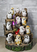 Forest Tree Steppes LED Display Stand With 12 Colorful Miniature Owls Figurines