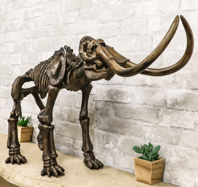 Ebros Prehistoric Elephant Jurassic Era Woolly Mammoth Fossil Skeleton 30"Long