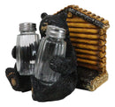 Forest Black Bear By Wooden Lodge Napkin And Glass Salt Pepper Shakers Holder