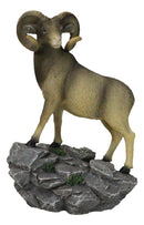 Wildlife Animal Taxidermy Bighorn Sheep Ram Standing On Rocky Steppes Figurine