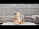 Rustic Country Animal Farm Porky Pig Hugging Salt Pepper Shakers Holder Set