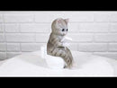 Shorthair Grey Cat Kitten Bookworm with Book Sitting On Toilet Potty Figurine