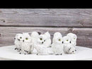 Set Of 12 Wisdom Of The Tundra Forest Arctic Snow White Owls Mini Figurines