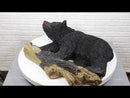 Large Rustic Western Wildlife Black Bear On Tree Branch Wall Sculpture 21"L