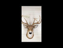 Ebros 8 Point Buck Deer Bust Champion Wall Mount Sculpture Plaque Figurine 21"H