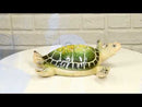 Ocean Marine Green Sea Turtle Decorative Key Stash Decorative Trinket Box