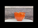 Orange Chubby Kitty Cat Ceramic Donburi Ramen Soup Bowl With Chopsticks Set