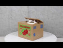 Whimsical Strawberry Feline Kitty Cat Coin Grabber Money Bank Box Sculpture