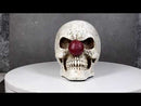 Halloween Creepy IT Jester Clown Harlequin Skull with Maroon Nose Figurine