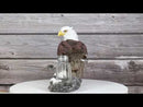 American Bald Eagle On Snowy Tree Branch Rock Cliff Salt Pepper Shakers Holder