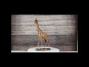 Nature Wildlife Realistic Safari Savannah Masai Giraffe Standing Figurine