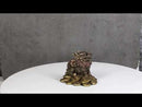 Feng Shui Fortune Money Dragon Chi Lin Yang Energy Gold Coins Charm Figurine