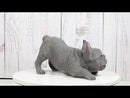 Realistic Adorable Grey French Bulldog Puppy Dog Crouching Frenchie Figurine